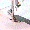 www.prosewingmachine.com