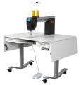 www.prosewingmachine.com