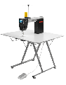 Bernina Q 16